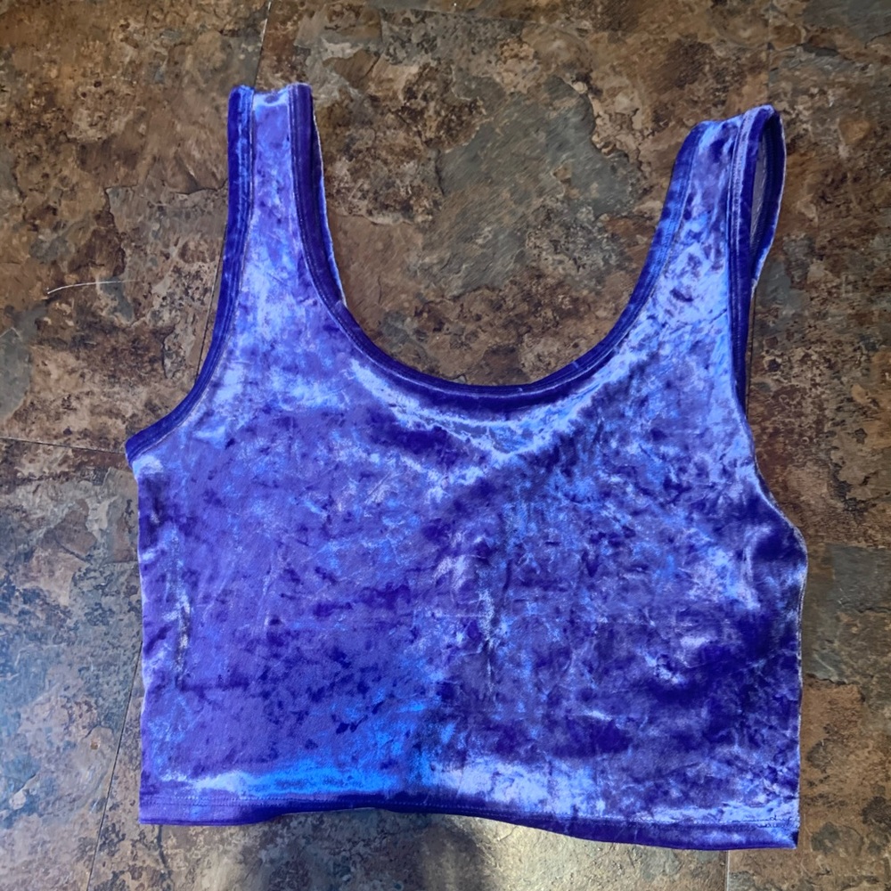Crushed Velvet Crop Top (M) F21